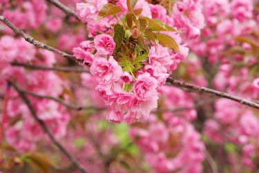南通如东线下个人借款平台一站式服务，轻松解决资金难题