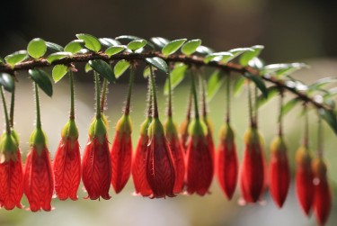 南通如东零用贷短借：轻松解决临时资金需求