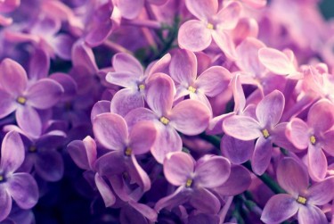 南通如东企业急用钱贷款攻略：快速融资解燃眉之急